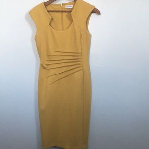 Golden Rod Calvin Klein Dress tulip
